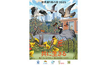 日本野鳥の会 : 『野鳥』誌バックナンバー 1976年