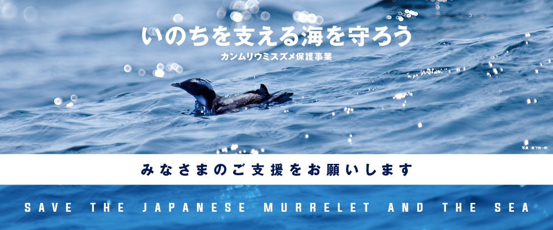 キャンペーン：いのちを支える海を守ろう「カンムリウミスズメ保護事業」