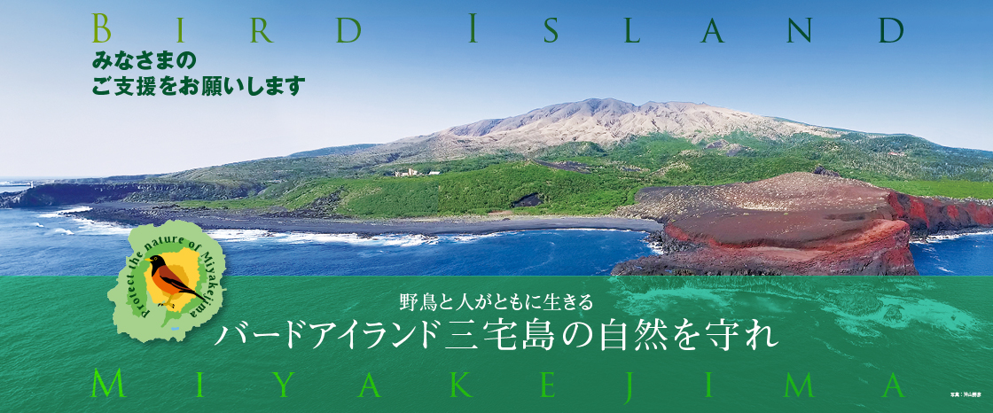 キャンペーン：バードアイランド三宅島の自然を守れ
