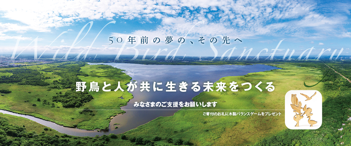 [夏の寄付キャンペーン] 50年前の夢の、その先へ 野鳥と人が共に生きる未来をつくる